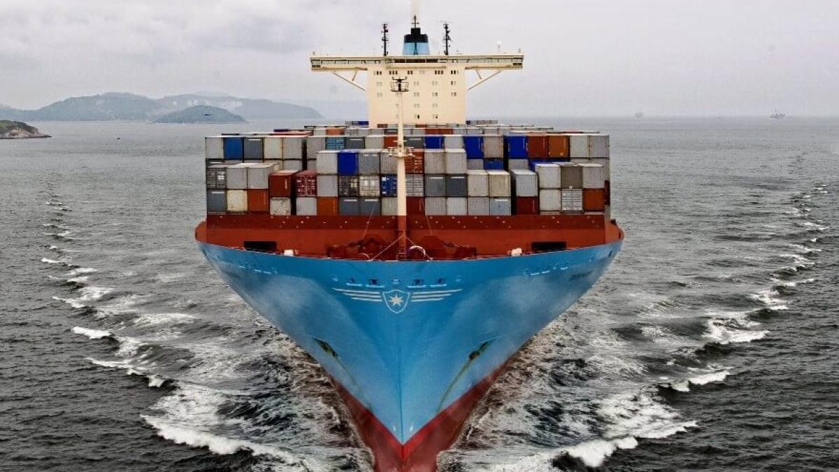 drumul_matasii_29017300