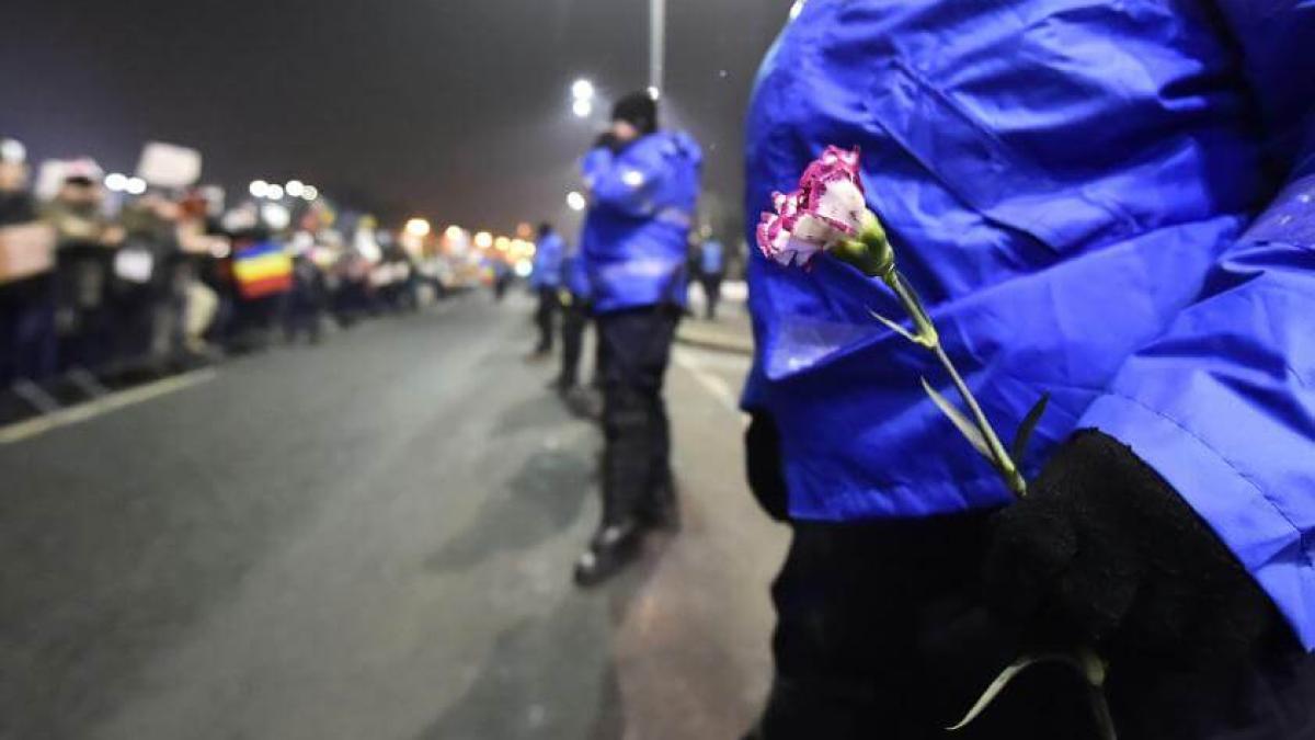 jandarmi_proteste_61030300