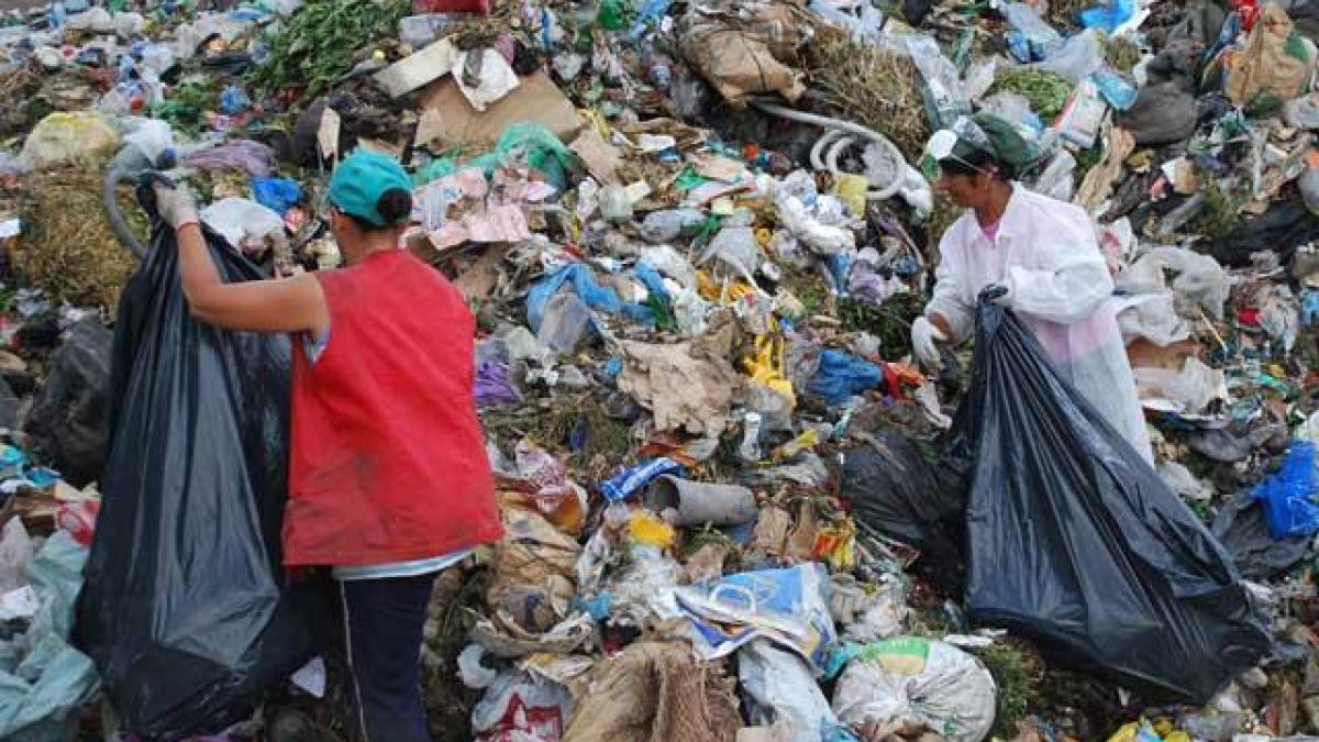 gropi_gunoi_34359200