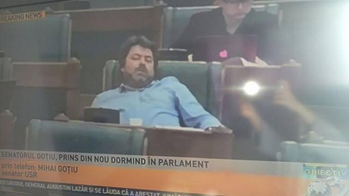 gotiu_doarme_17583800