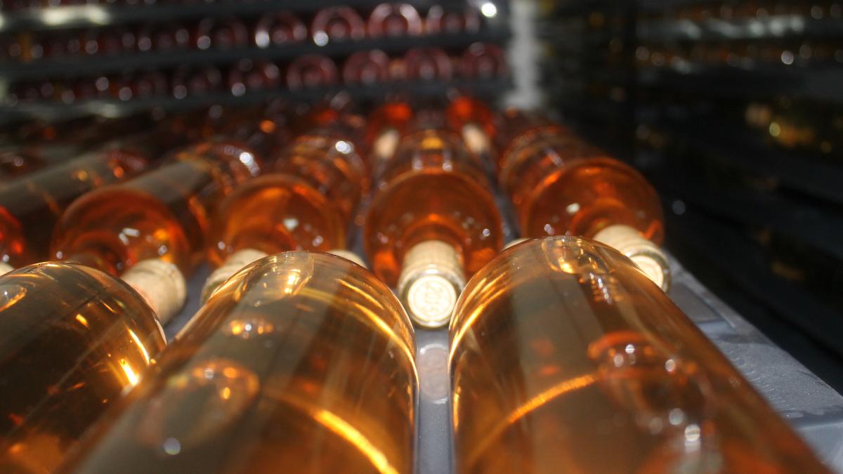 crama_avincis_8_30452100