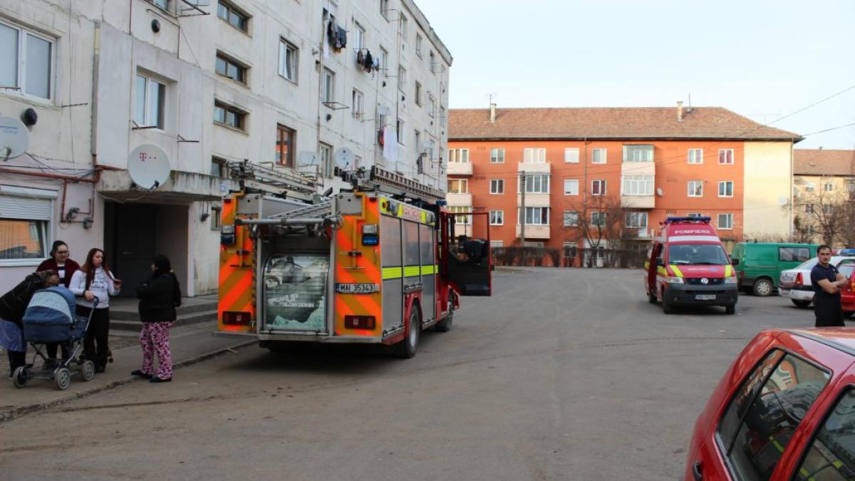 img_6658_1024x683_00027500