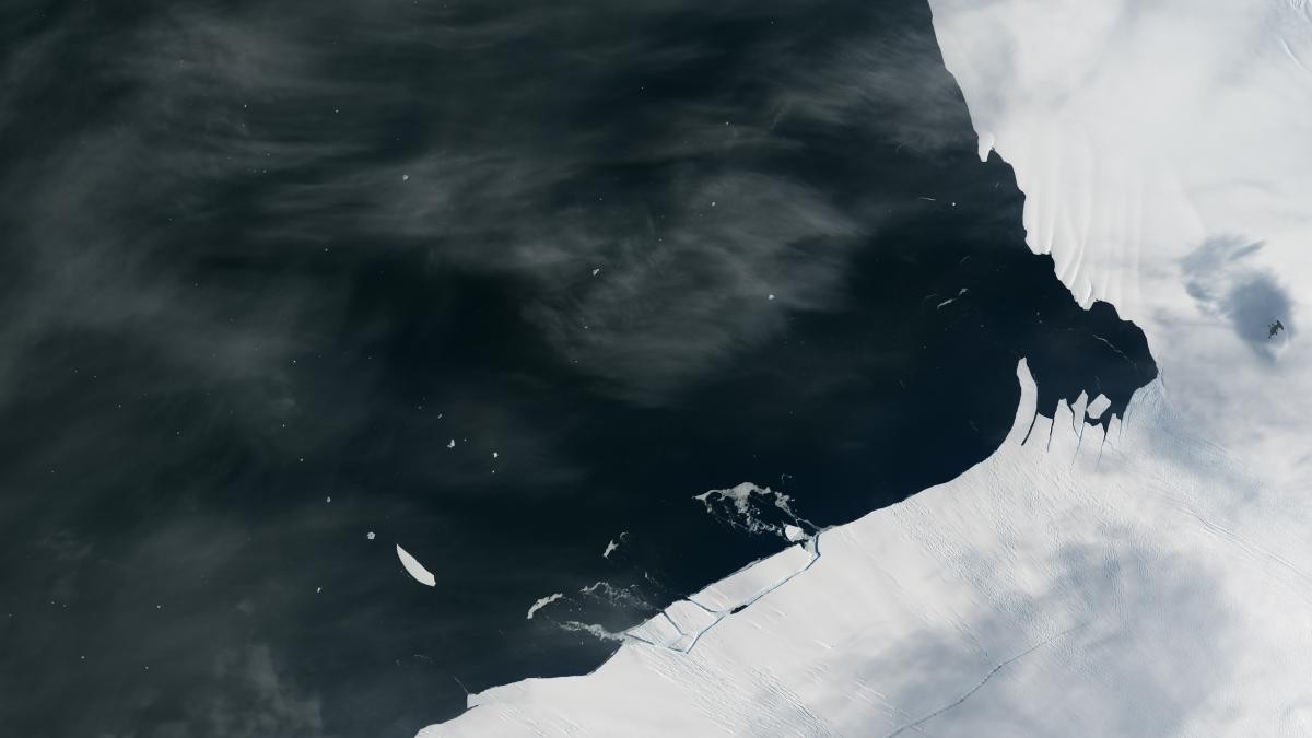 pineisland_oli_2017026_lrg_crop_54999800