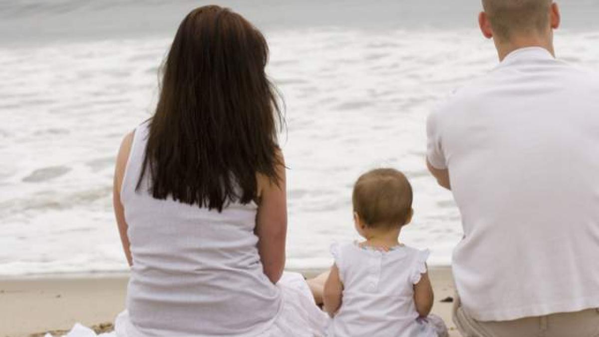 program_vizita_minor_77806400