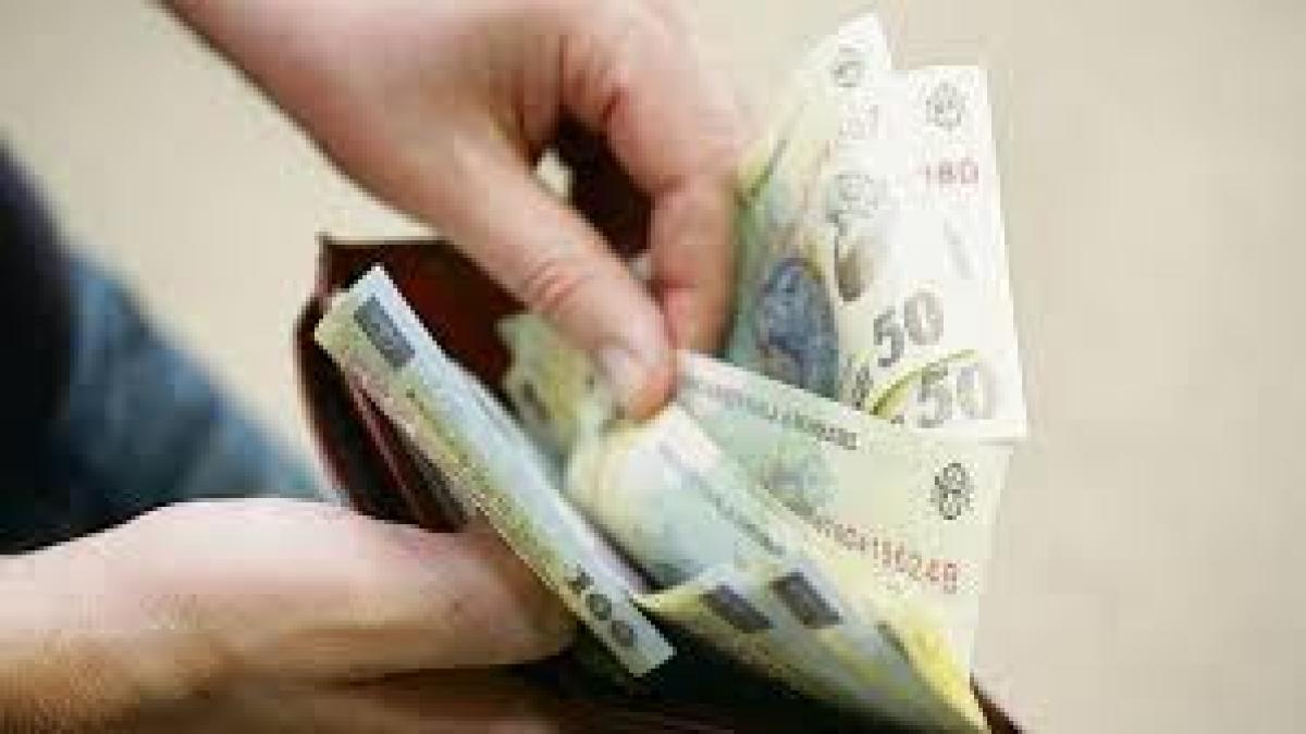 salarii_11341500