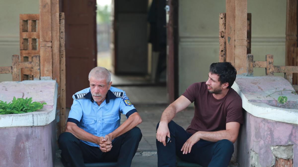 secventa_din_filmul_caini__in_regia____lui_bogdan_mirica_12241900