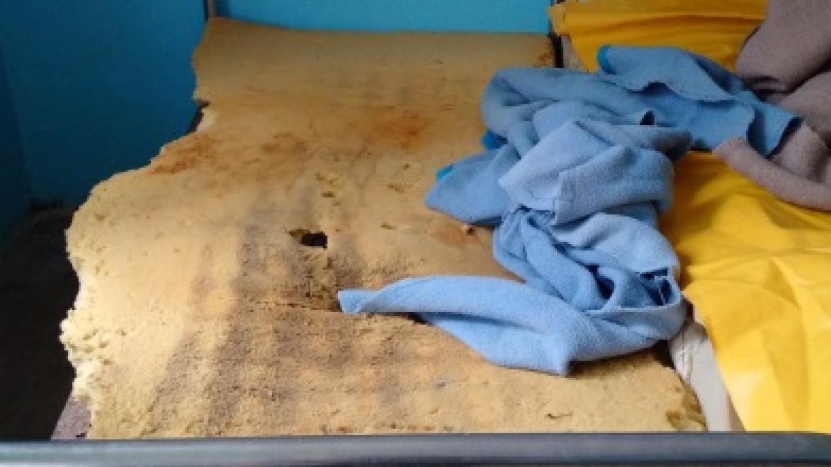 pacienti_mehedinti_18508100