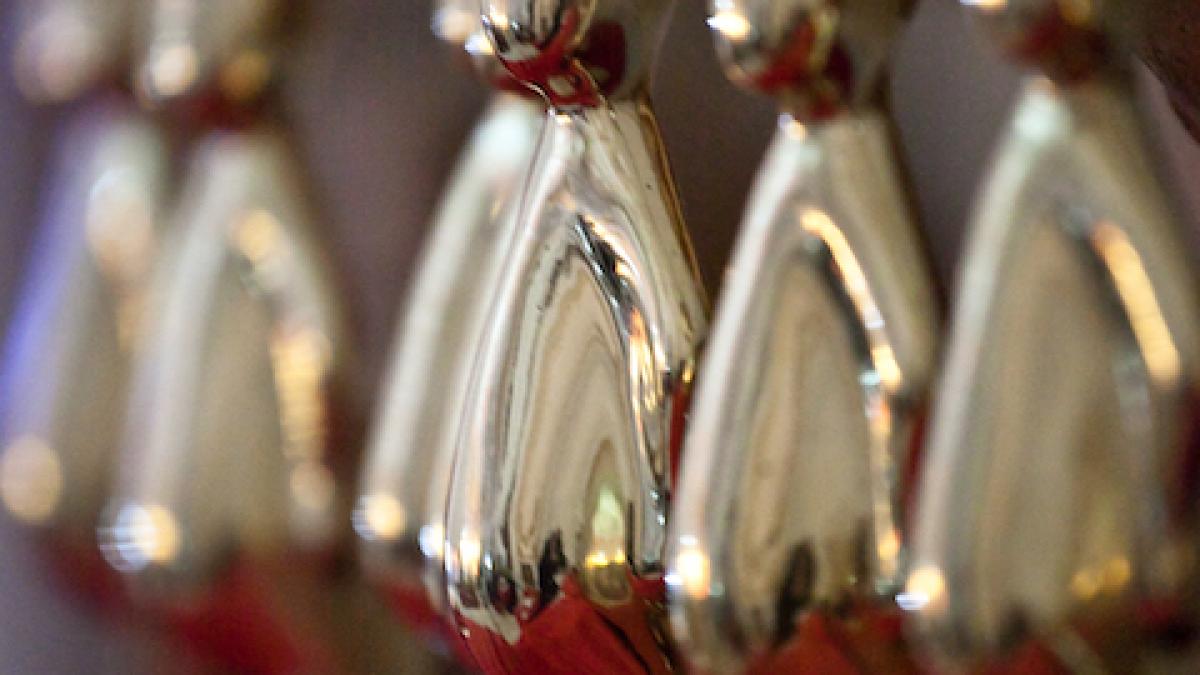 trofeul_gopo_56711100