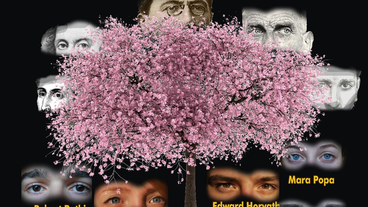 afisul_amifran_wien_2017_11643100