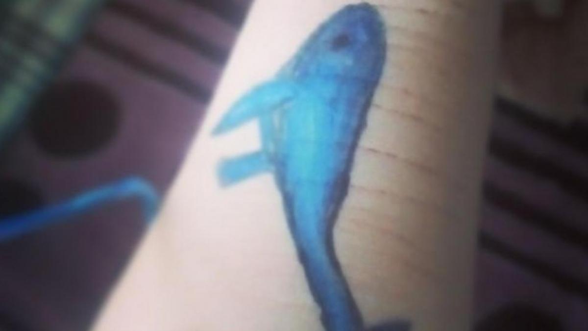 balena_albastra_17330600_50991800