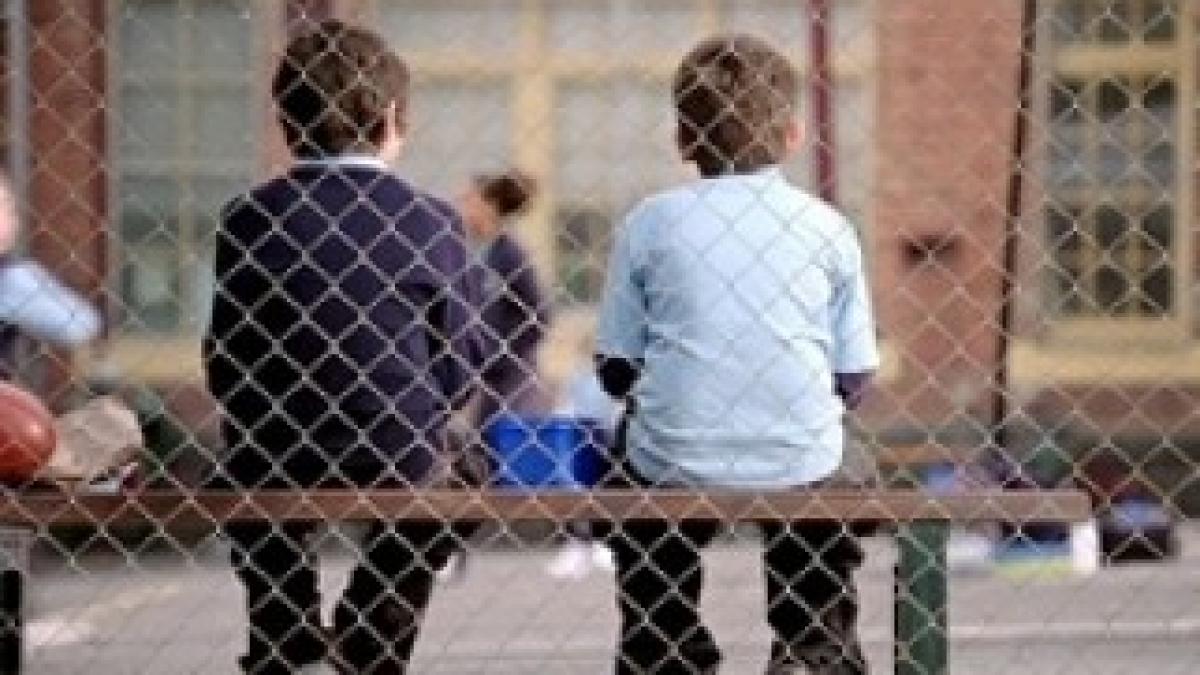 coli fara autoriza ie isu primarul legisla ia e aberanta