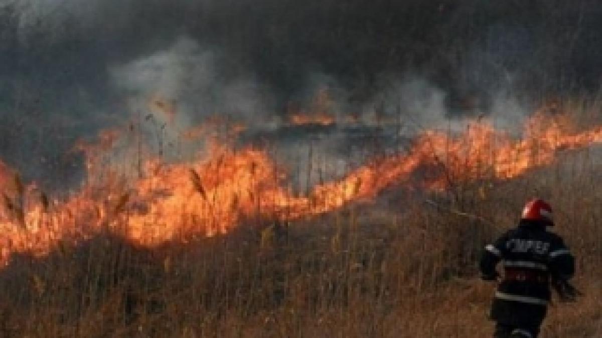 incendiu_delta_vacaresti_30511100_24366000