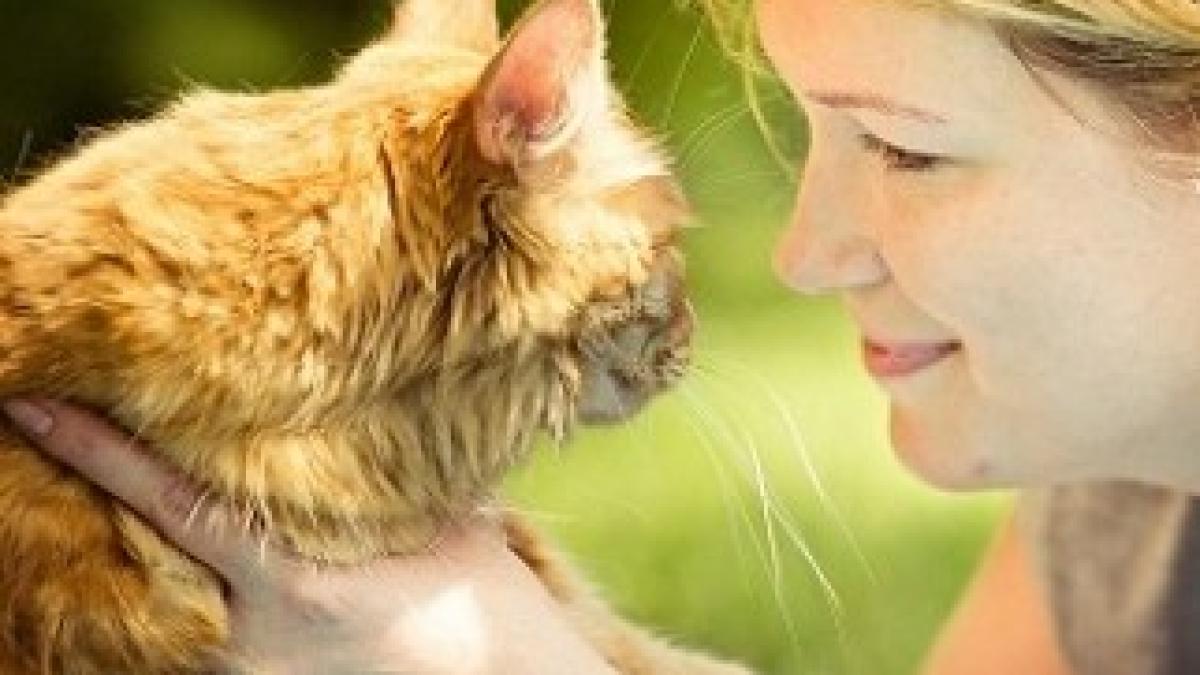 7371909026_a36abb7fc8_z