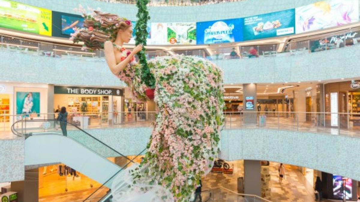 zeita_primaverii_mall_41619500