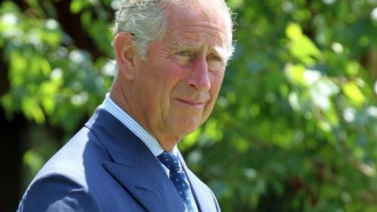 club_colectiv_printul_charles_12767500