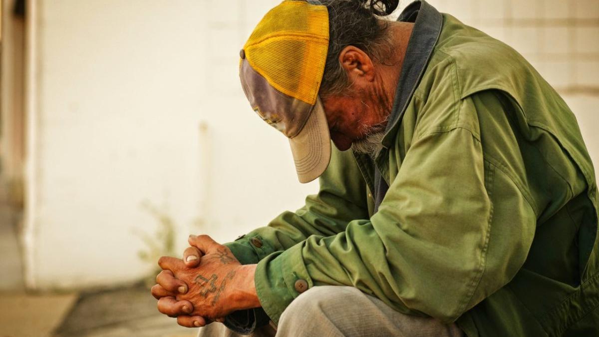 migratia_saraciei_10741700