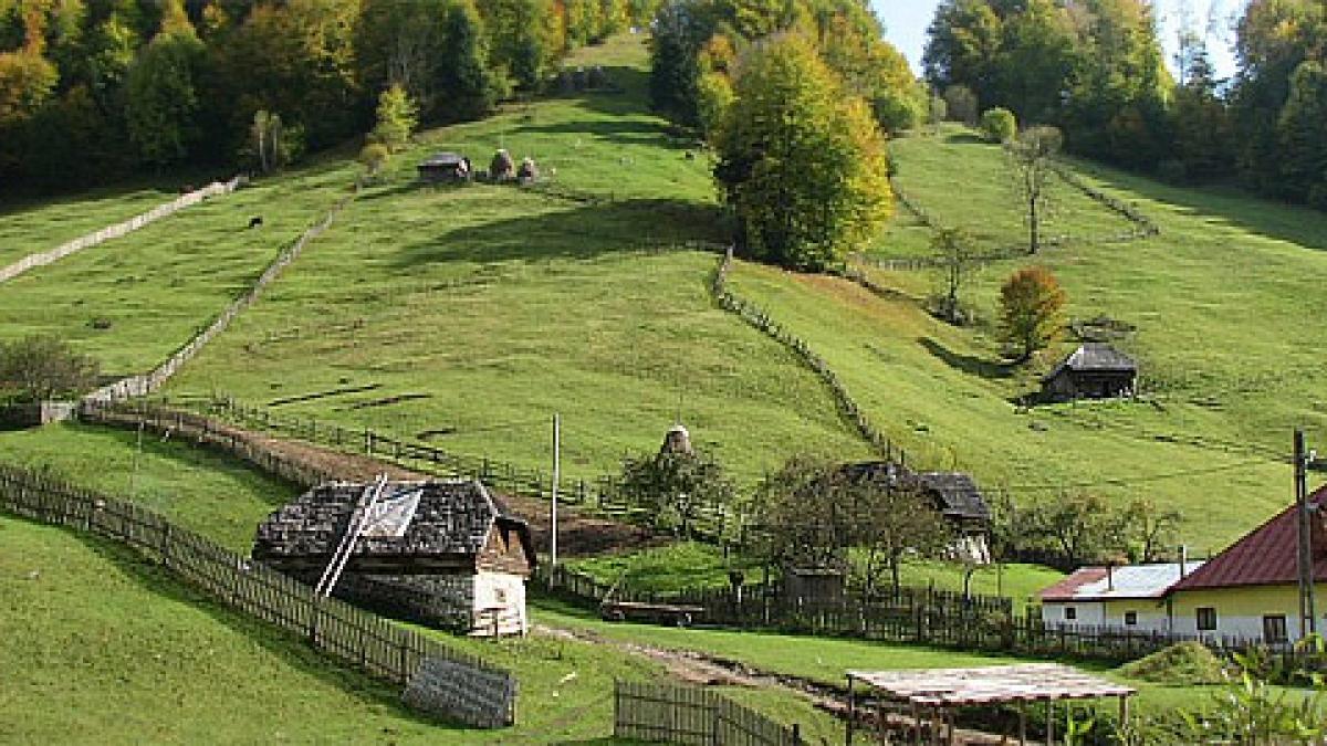 cheile_dambovicioarei_35596900