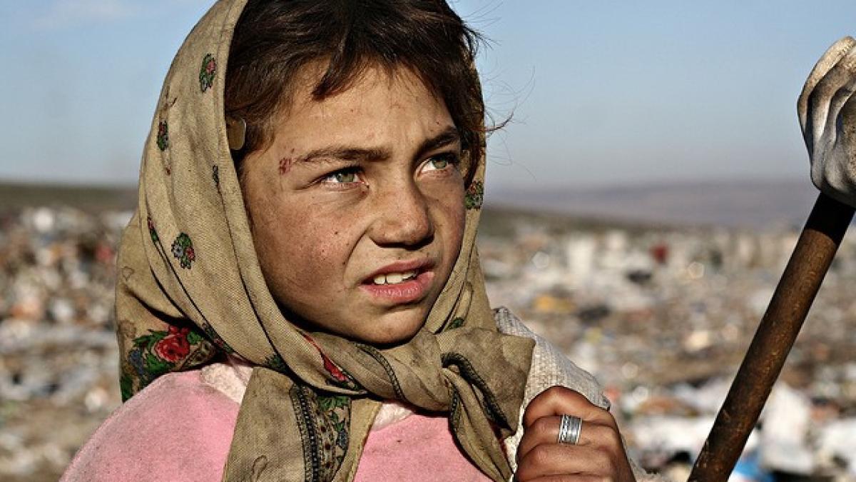 romi_pata_rat_britanici_94054700