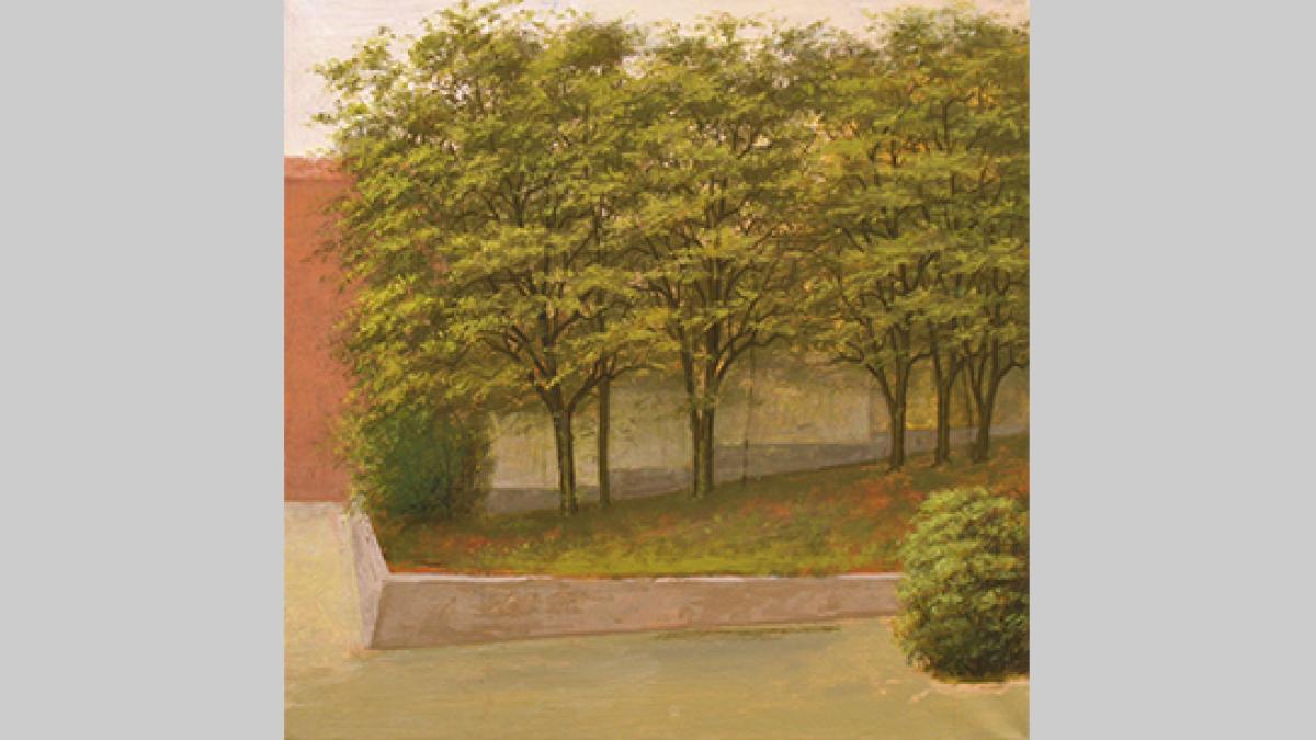 andrei_campan_46246300