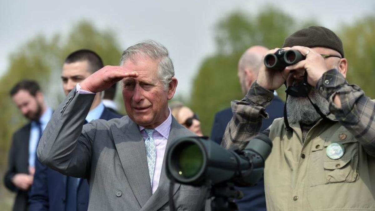 printul_charles_dcnews_17940800