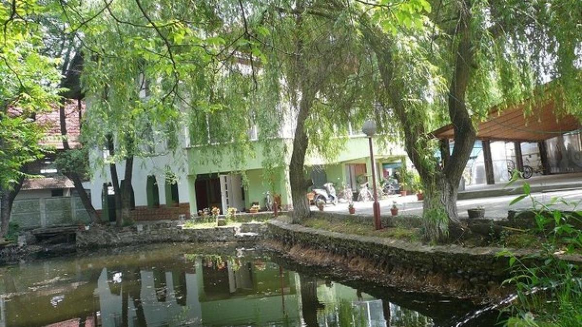 pensiunea_casa_brancusi_cazare_oltenia_9213f50d6821_612_999_1_85_77132000