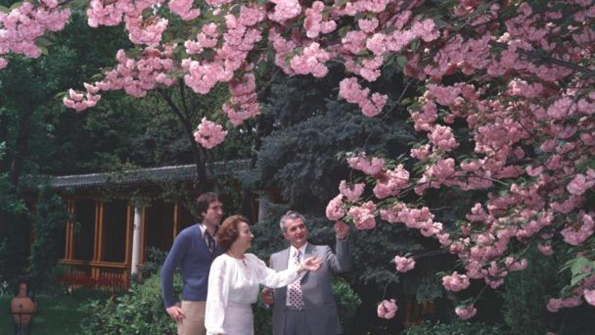 agerpres_11445_92951800