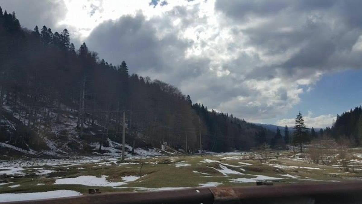 18009273_10208988939061022_2055509587_n_94399600