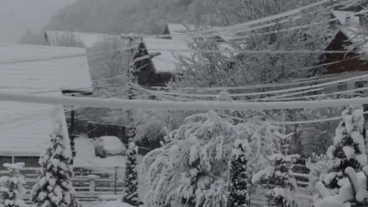 capturaprc-ccprc-86_de_ecran_din_2017_04_21_la_14_36_45_98673400