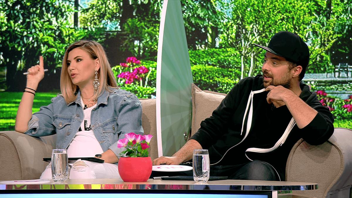 tudor_fly_project_18714500