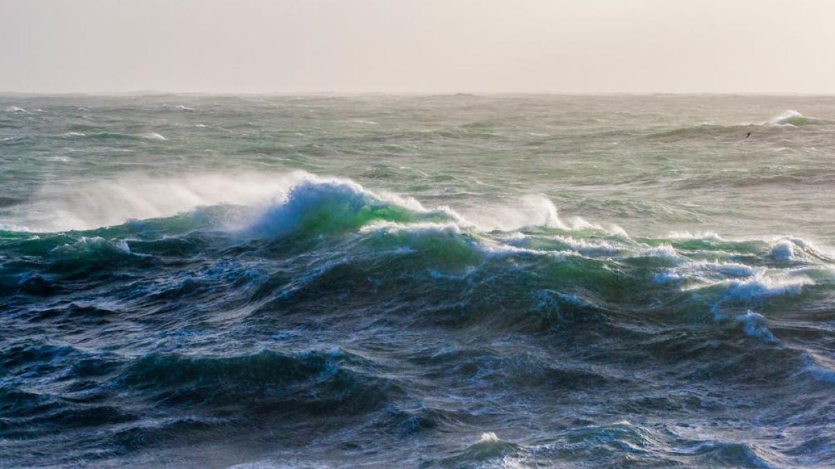 sophie_de_roumanie_b_1_28215000