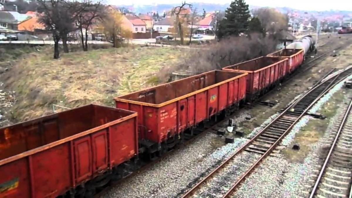 tren_de_marfa_0_92228500