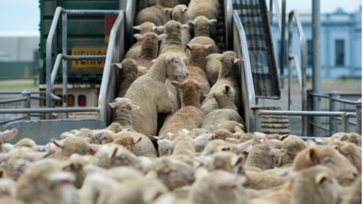 capturaprc-ccprc-86_de_ecran_din_2017_04_27_la_18_05_26_92709700