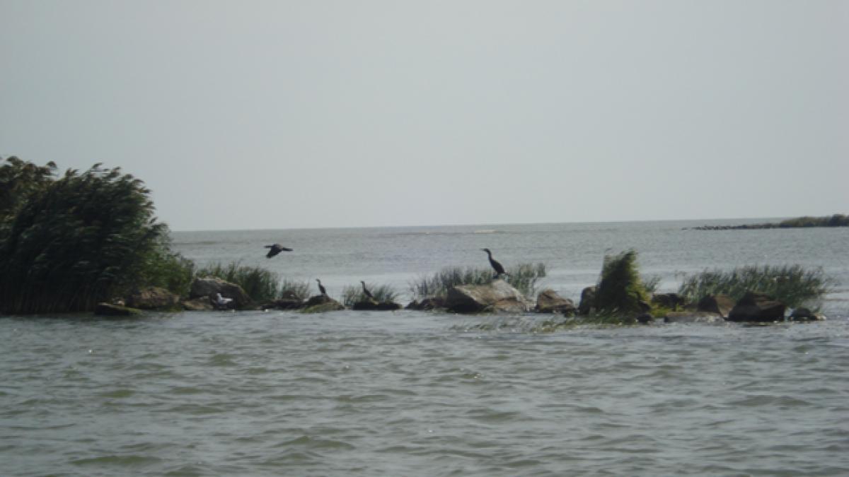 expozitie_arta_contemporana_40794500