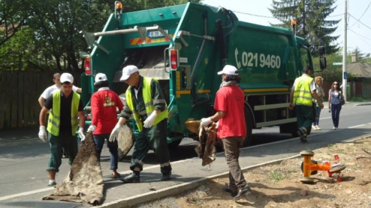 ecologizare_28760600