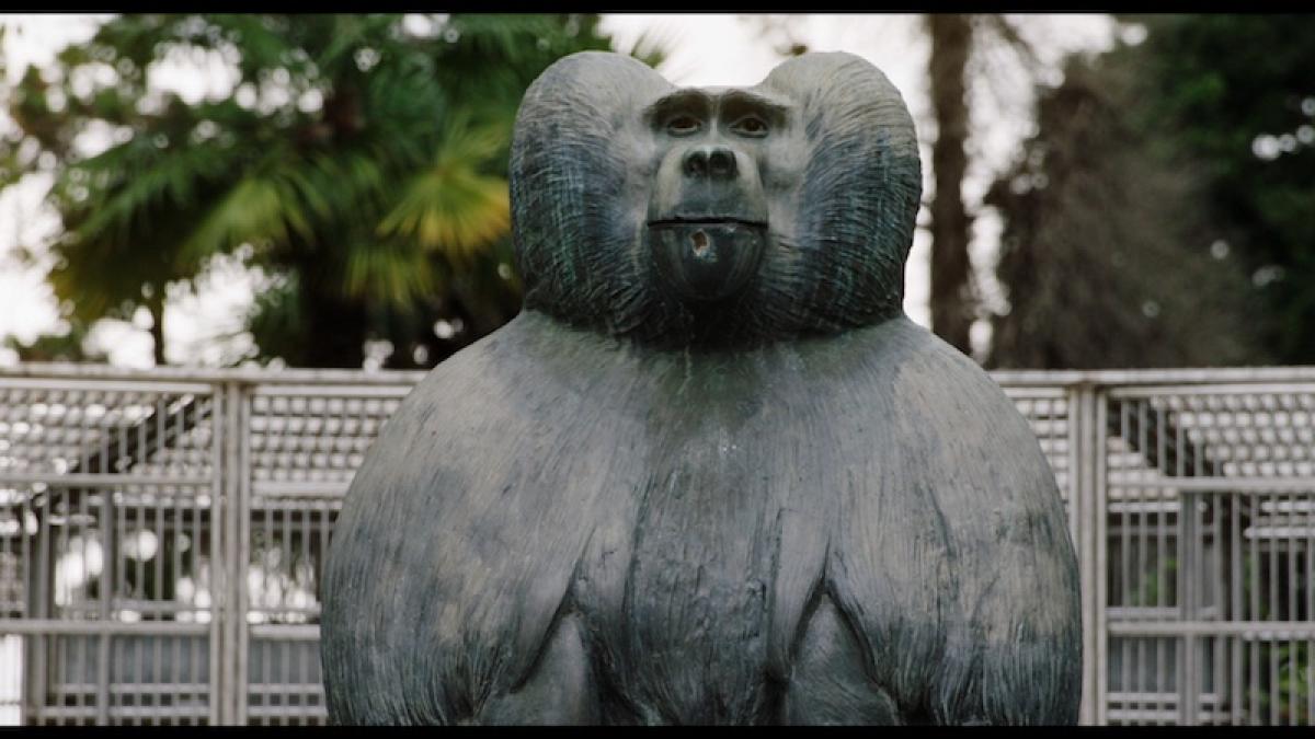 ouale_lui_tarzan_02_39551800