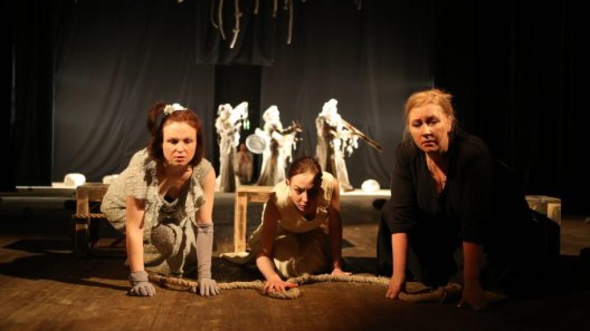 insula_caprelor_11682000