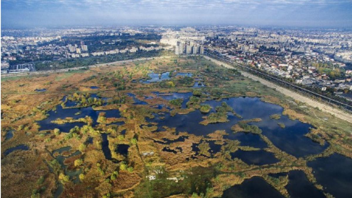 parcul_vacaresti_84559800