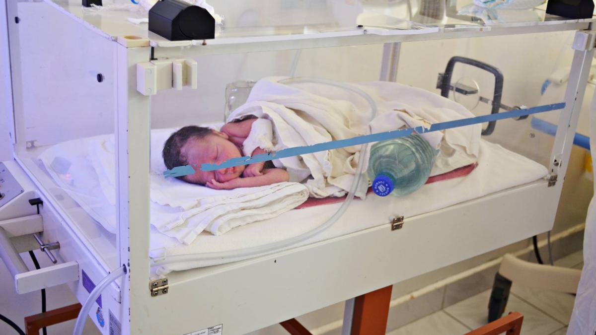 incubatoare_11633000