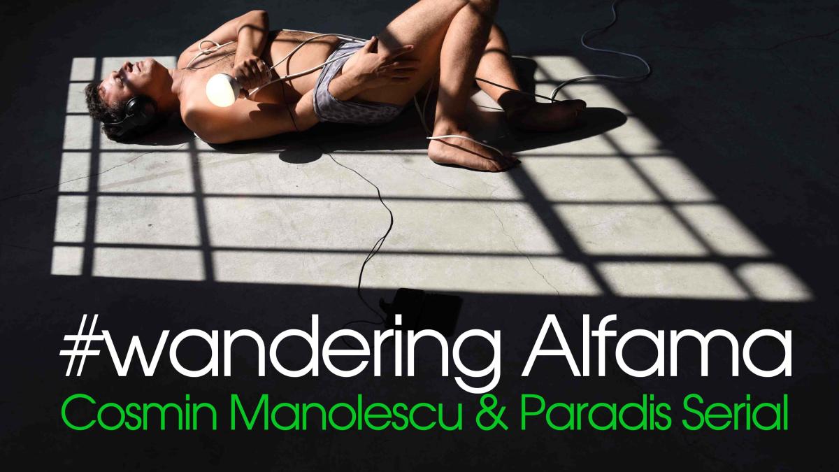 carton_wandering_61539100