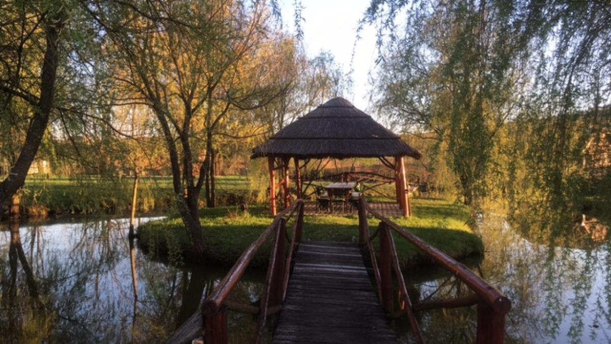 065edc95_a5ad_4728_b1a0_a199df4f2db0_73490100