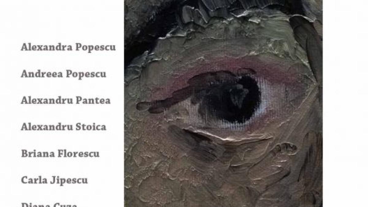 afis_in_fel_si_chip_528x744_60778300