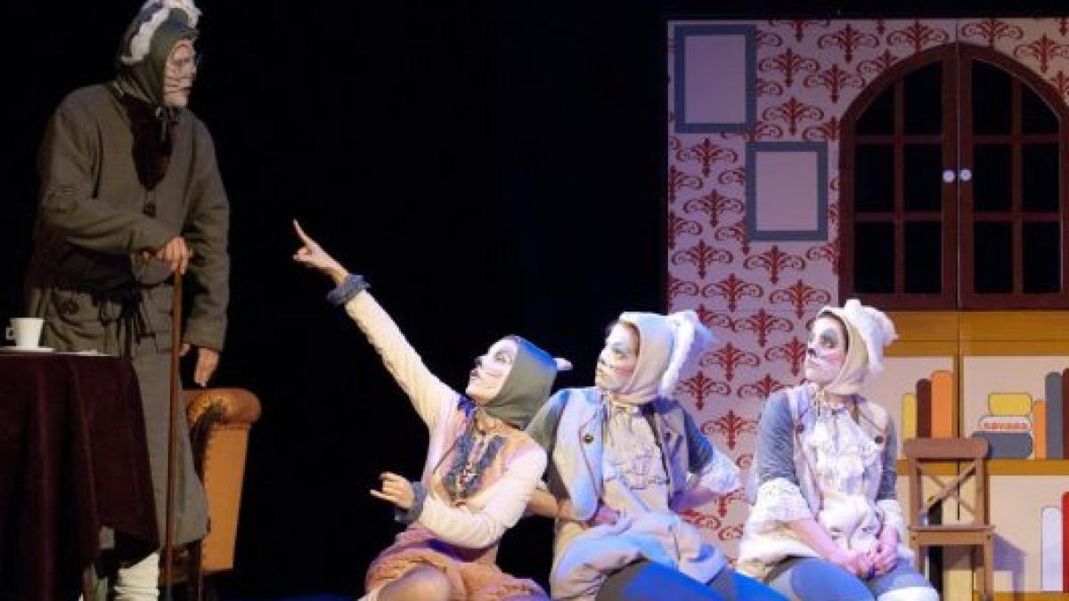 1_copilaria_lui_mozart_2_528x354_44344800