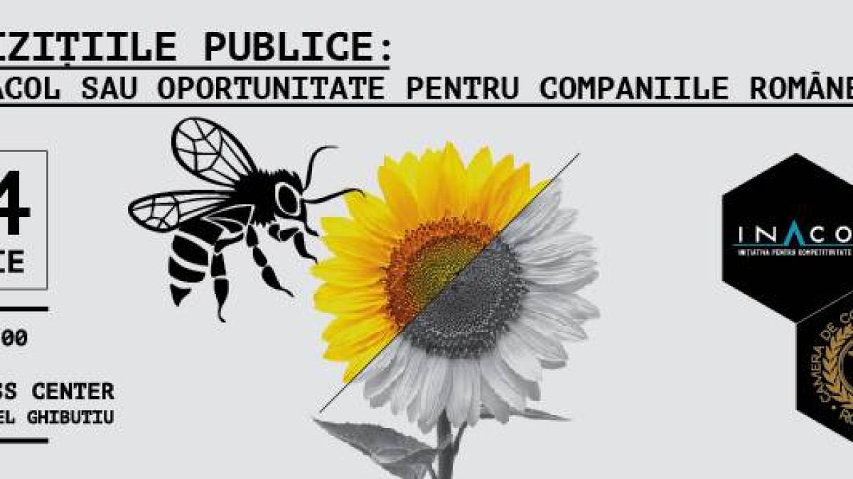 achizitiile_publice_15195800