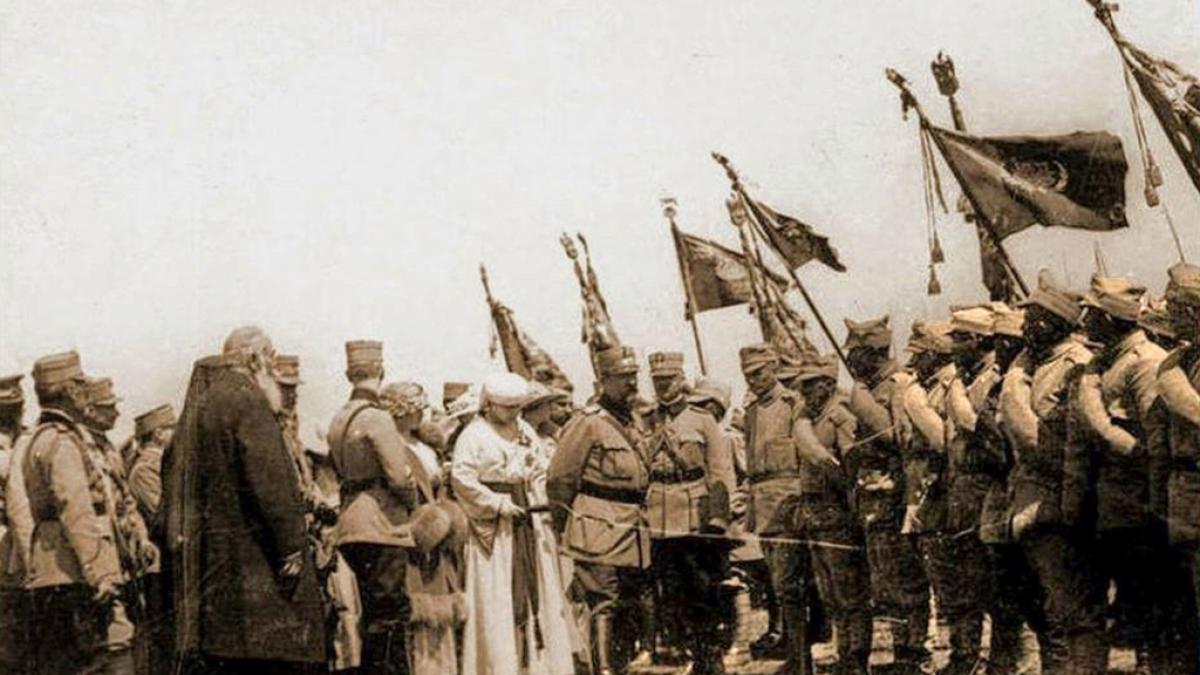 bitmap_in_panoul_1cdr_4_1_14785100