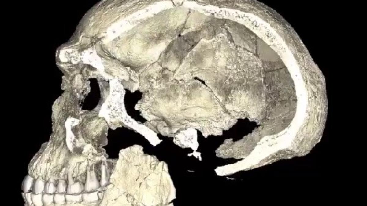 homo_sapiens_foto_europafm_ro_66587300