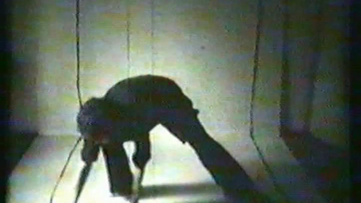 geta_bratescu_atelierul_1978_42641200