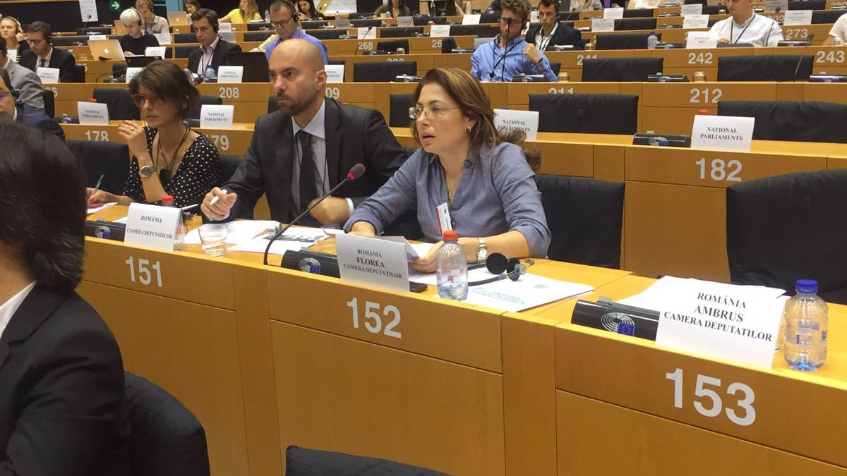 oana_florea_59143400