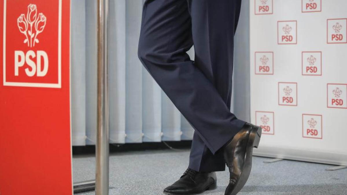 greu din psd animal mare care nu opaie unde calca lasa urma