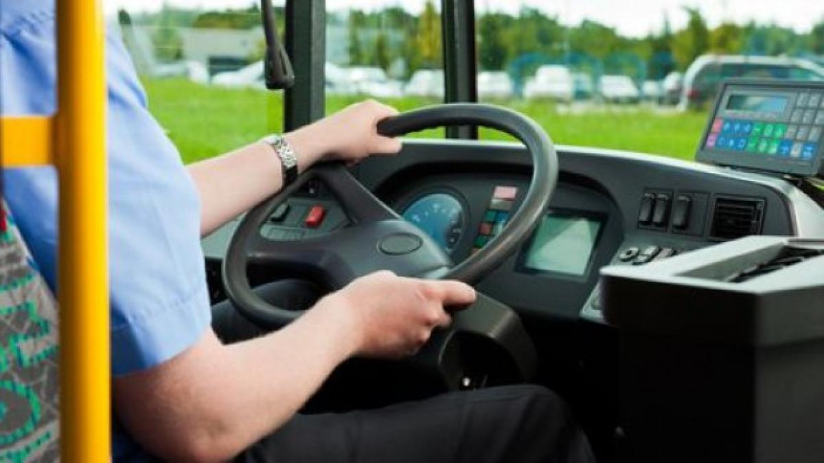 sofer_autobuz11_64565400_22511900