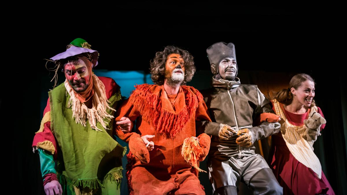 vrajitorul_din_oz_47_catalina_draghici_51045900